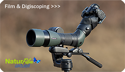 Film und Digiscoping weie Schrift